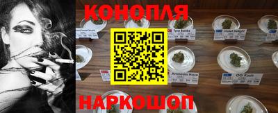 стаф Донской