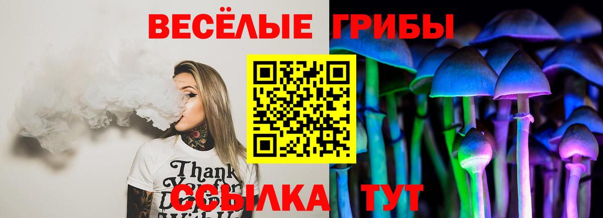 Нижний Тагил  цены наркотик  Вход с VPN  Галлюциногенные грибы Psilocybine cubensis  Псилоцибиновые грибы ЛСД 
